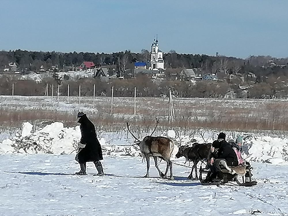 Катание на оленях, Масленица в Боровске