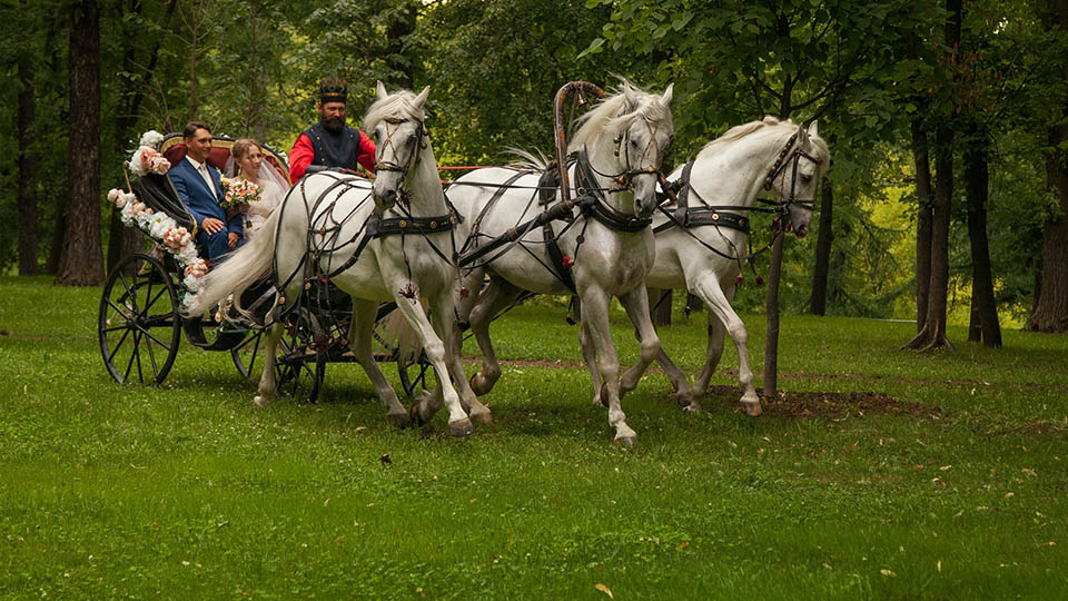 Свадебный конный экипаж